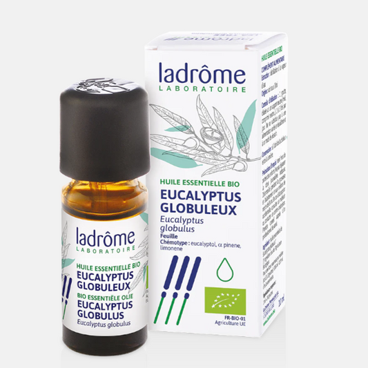 EUCALIPTO GLOBULUS  BIO – LADRÔME