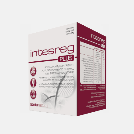 INTESREG PLUS