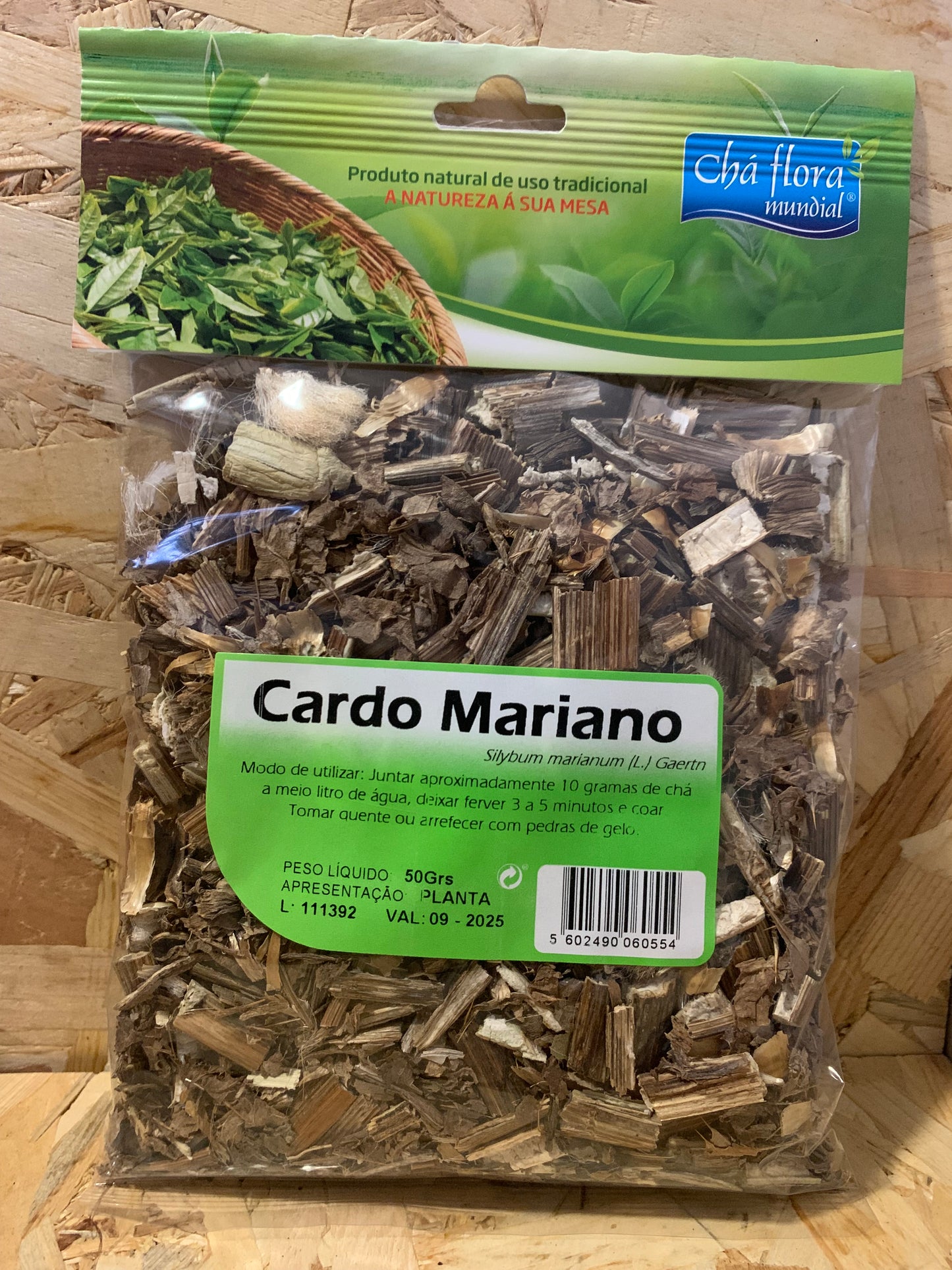 CARDO MARIANO