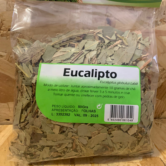 EUCALIPTO